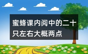 蜜蜂課內(nèi)閱中的二十只左右、大概、兩點四十分等詞中,你體會到了什么?