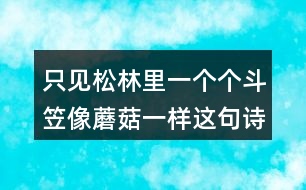 只見松林里一個個斗笠像蘑菇一樣這句詩的意思是什么？