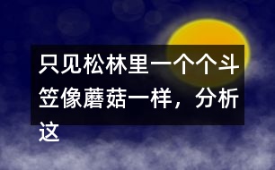 只見松林里一個個斗笠像蘑菇一樣，分析這句話是什么意思