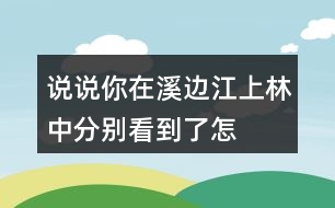 說說你在溪邊、江上、林中分別看到了怎樣的畫面,任選其中一個寫下來