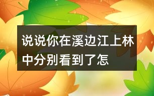 說說你在溪邊、江上、林中分別看到了怎樣的畫面。