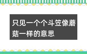 只見一個(gè)個(gè)斗笠像蘑菇一樣的意思