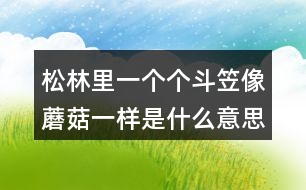 松林里一個個斗笠像蘑菇一樣是什么意思