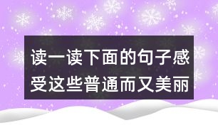 讀一讀下面的句子感受這些普通而又美麗的事物你也來(lái)寫(xiě)一寫(xiě)吧雨后我們會(huì)看到地