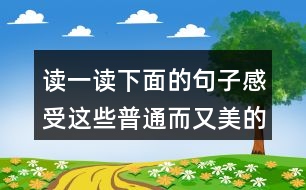 讀一讀下面的句子感受這些普通而又美的事物你也來(lái)寫(xiě)一寫(xiě)