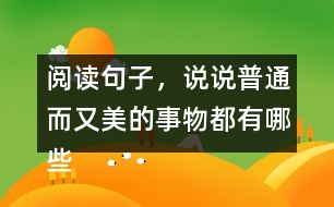 閱讀句子，說說普通而又美的事物都有哪些,小練筆三年級