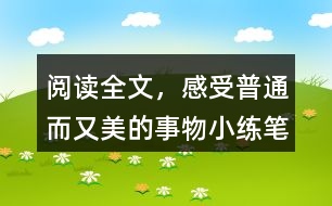 閱讀全文，感受普通而又美的事物小練筆