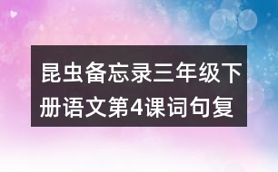 昆蟲備忘錄三年級(jí)下冊語文第4課詞句復(fù)習(xí)要點(diǎn)筆記