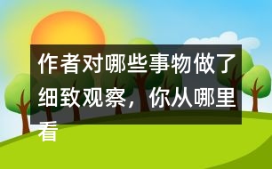 作者對哪些事物做了細(xì)致觀察，你從哪里看出來的