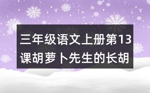 三年級(jí)語(yǔ)文上冊(cè)第13課胡蘿卜先生的長(zhǎng)胡子讀后感