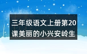 三年級(jí)語(yǔ)文上冊(cè)第20課美麗的小興安嶺生字組詞與多音字組詞