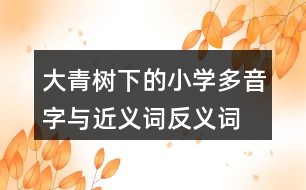 大青樹下的小學(xué)多音字與近義詞反義詞