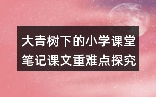 大青樹下的小學(xué)課堂筆記課文重難點(diǎn)探究