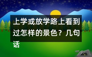 上學(xué)或放學(xué)路上看到過怎樣的景色？幾句話寫下來