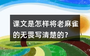 課文是怎樣將老麻雀的無(wú)畏寫清楚的？