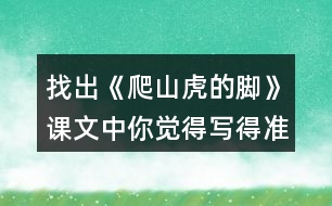 找出《爬山虎的腳》課文中你覺得寫得準(zhǔn)確、形象的句子，抄寫下來。