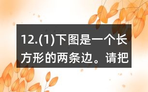 12.(1)下圖是一個長方形的兩條邊。請把這個長方形畫完整。