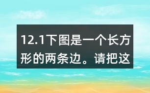 12.（1）下圖是一個長方形的兩條邊。請把這個長方形畫完整。