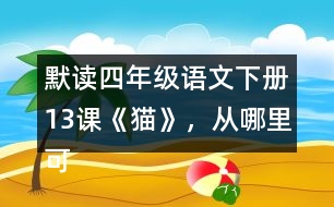 默讀四年級語文下冊13課《貓》，從哪里可以看出作者喜歡貓