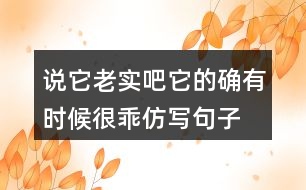 說它老實(shí)吧它的確有時候很乖仿寫句子