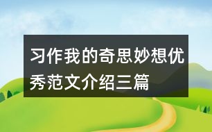 習(xí)作：我的奇思妙想優(yōu)秀范文介紹三篇