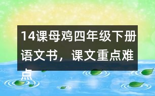 14課母雞四年級下冊語文書，課文重點難點筆記