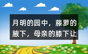 “月明的園中，藤蘿的腋下，母親的膝下”讓你有何感受？