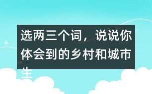 選兩三個(gè)詞，說(shuō)說(shuō)你體會(huì)到的鄉(xiāng)村和城市生活有何不同