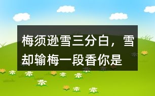 “梅須遜雪三分白，雪卻輸梅一段香”你是如何理解的