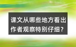 課文從哪些地方看出作者觀察特別仔細(xì)？