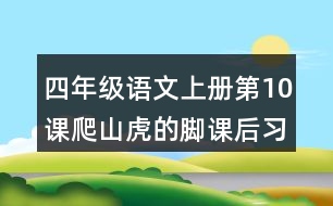 四年級語文上冊第10課爬山虎的腳課后習題參考答案