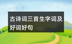 古詩(shī)詞三首生字詞及好詞好句