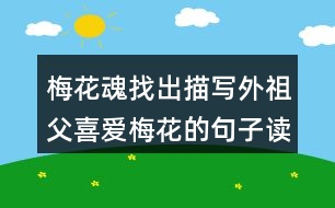 梅花魂找出描寫外祖父喜愛梅花的句子讀一讀，體會這些句子對表達(dá)外祖父的思鄉(xiāng)之情有什么好處。