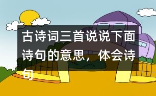 古詩詞三首說說下面詩句的意思，體會詩句表達的思想感情。