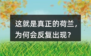 這就是真正的荷蘭，為何會反復(fù)出現(xiàn)？