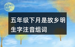 五年級下月是故鄉(xiāng)明生字注音組詞