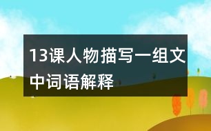 13課人物描寫一組文中詞語(yǔ)解釋