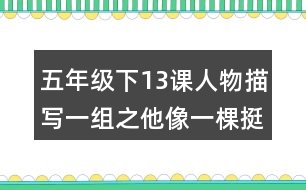 五年級(jí)下13課人物描寫(xiě)一組之他像一棵挺脫的樹(shù)重難點(diǎn)復(fù)習(xí)筆記