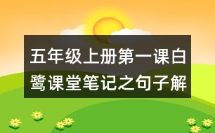 五年級(jí)上冊(cè)第一課白鷺課堂筆記之句子解析