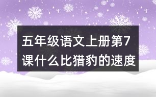 五年級(jí)語文上冊(cè)第7課什么比獵豹的速度更快生字組詞與近反義詞