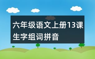 六年級(jí)語文上冊(cè)13課生字組詞拼音