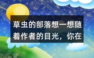 草蟲的部落想一想隨著作者的目光，你在“曹操的部落”看到了什么，印象最深的有哪些？