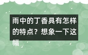 雨中的丁香具有怎樣的特點？想象一下這幅畫面。