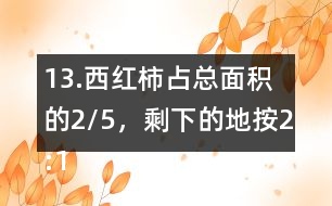 13.西紅柿占總面積的2/5，剩下的地按2:1的比種黃瓜和茄子。