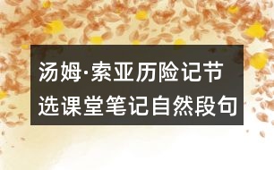 湯姆·索亞歷險(xiǎn)記（節(jié)選）課堂筆記：自然段句子作用