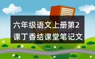 六年級語文上冊第2課丁香結課堂筆記文中句子解析