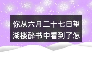 你從六月二十七日望湖樓醉書(shū)中看到了怎樣的一幅畫(huà)面？