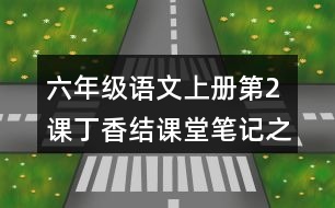 六年級(jí)語(yǔ)文上冊(cè)第2課丁香結(jié)課堂筆記之本課重難點(diǎn)