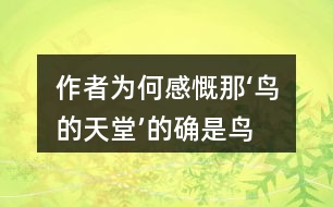 作者為何感慨“那‘鳥的天堂’的確是鳥的天堂”