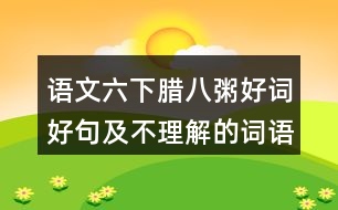 語(yǔ)文六下臘八粥好詞好句及不理解的詞語(yǔ)